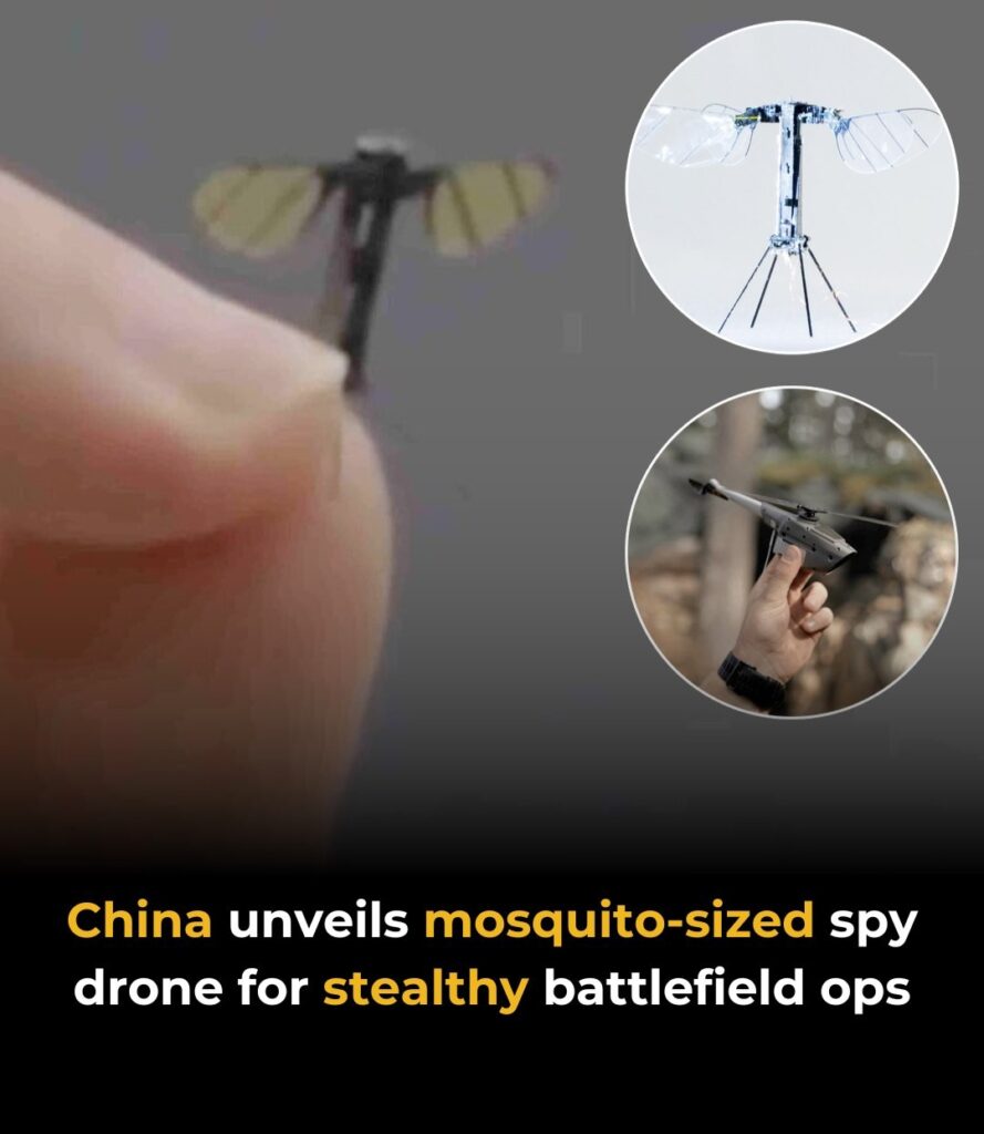 China has revealed a tiny drone the size of a mosquito, designed for covert military mi… See more
