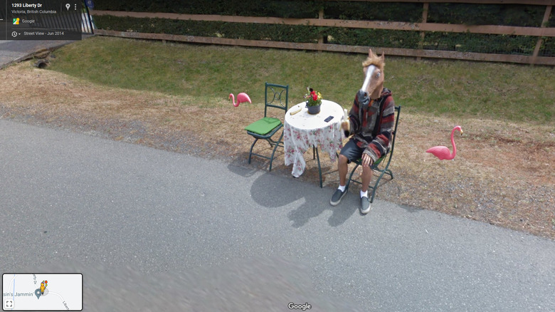 Unusual Scene in Victoria, Canada!