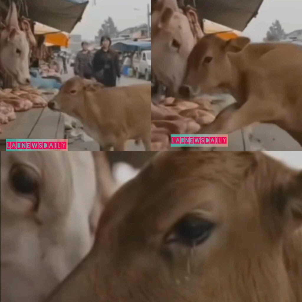 News that touches hearts…See more